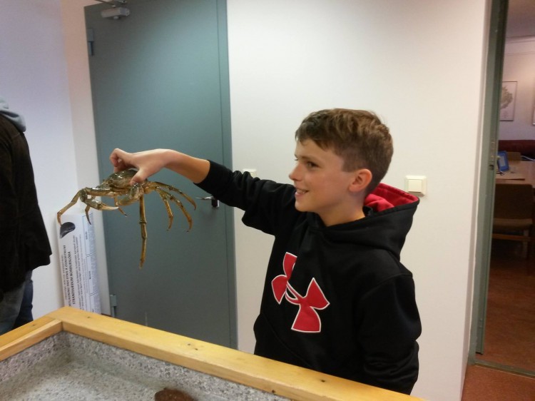 Hugrakkur verðandi krabbaveiðimaður