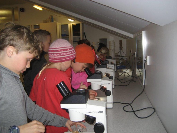 Skólahópar vor 2013_2