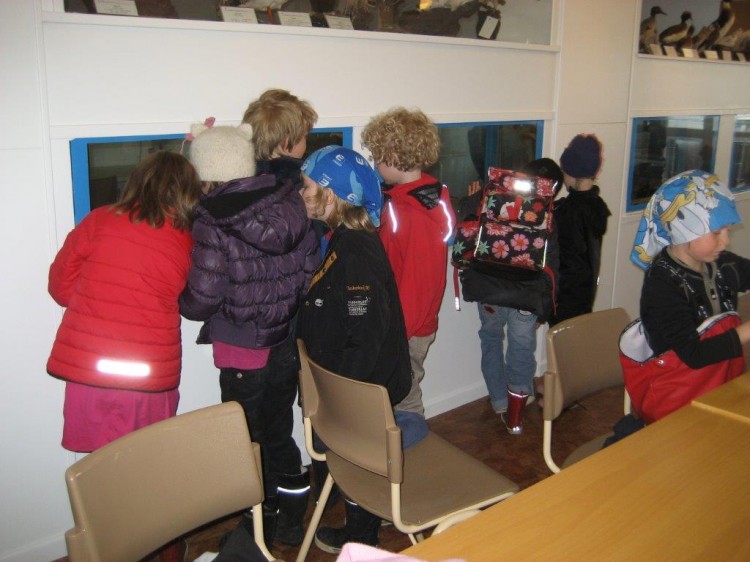 Skólahópar vor 2013_4