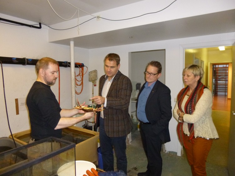 Halldór Pálmar Halldórsson, forstöðumaður Rannsóknaseturs HÍ á Suðurnesjum sýnir gestunum grjótkrabba. 