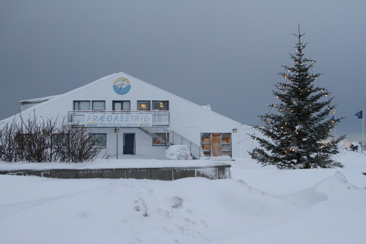 snjó í des 040